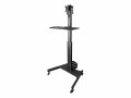 STARTECH .com Mobile Workstation Cart with Monitor Mount, CPU/PC