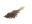 Bild 1 Anjel Trockenblumen in Kartonbox Phalaris, Braun, Produkttyp