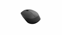 RAPOO     RAPOO M100 Silent Mouse 18199 Wireless, black, Kein