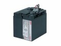 APC Ersatzbatterie RBC148, Akkutyp: Blei-Säure