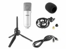 Vonyx Kondensatormikrofon CM300S Silber, Typ: Einzelmikrofon