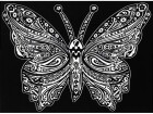 Tataruga Malset Samtbild Schmetterling A4, Altersempfehlung ab: 5