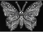 Tataruga Malset Samtbild Schmetterling A4, Altersempfehlung ab: 5