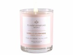 Plantes & Parfums Duftkerze Vanille Gourmande 180 g, Bewusste