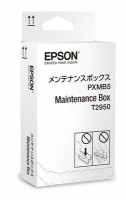 Epson Maintenance Box T295000 Workforce WF-100W, Kein