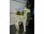 Image 2 Dameco LED-Figur Rentier Candy, 720 LEDs, 60 cm, Mehrfarbig