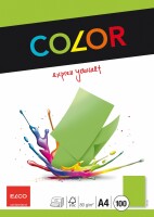 ELCO Office Color Papier A4 74616.62 80g, grün 100