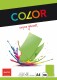 ELCO      Office Color Papier         A4 - 74616.62  80g, grün            100 Blatt