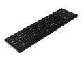 Active Key Tastatur AK-C8100F mit Wechselmembrane, Tastatur Typ