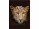 Hubatka Decke Leopard 150 x 200 cm, Braun, Bewusste