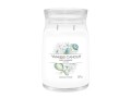 Yankee Candle Signature Duftkerze Baby Powder Signature Large Jar, Bewusste