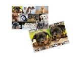 HERMA Schreibunterlage Hunde 55 x 35 cm, Breite: 35