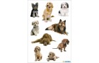 Herma Stickers Motivsticker Hundefotos, 3 Blatt, Motiv: Hund