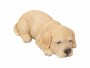 Vivid Arts Dekofigur Labrador Welpe schlafend, Bewusste