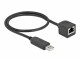 Immagine 1 DeLock Anschlusskabel USB-A zu RS-232 RJ45, 50 cm