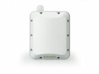 Ruckus Outdoor Access Point T350c unleashed, Access Point