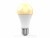 Bild 4 WOOX Leuchtmittel WiFi Smart Bulb RGB+CCT E27, 10W, 2700K-6500K
