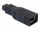 DeLock Adapter Firewire 9pin m - 6pin f, Kabeltyp