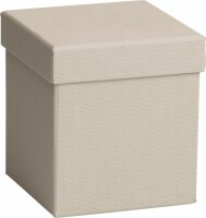 STEWO Geschenkbox Cube 2551616690 grau hell 11x11x12cm, Dieses