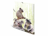 HERMA Gummibandmappe Koala A4, Mehrfarbig, Typ: Gummibandmappe