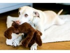 Wolters Hunde-Spielzeug Plüschhund, 30 cm, Produkttyp