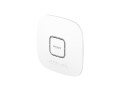 NETGEAR Access Point WAX625-100EUS, Access Point Features: Access