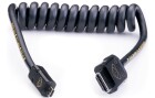 Atomos Kabel Micro HDMI 4K60p 30 cm, Zubehörtyp: Kabel