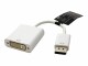 ROLINE Roline - Adaptateur DisplayPort - DisplayPort