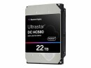 Western Digital WD Ultrastar DC HC580 WUH722422ALE6L1 - Festplatte