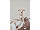 OYOY Hunde-Decke Kaya, L, Ice, Breite: 180 cm, Länge