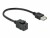 Bild 0 DeLock Keystone-Modul USB2.0 USB-A ? USB-C, 25cm schwarz, Modultyp