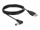 Immagine 4 DeLock USB-Stromkabel A - Power