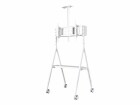 Neomounts by Newstar Mobile Flat Screen Floor Stand (height: 110 - 144 cm