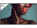 Sony Public Display FW-65BZ40L 65 "