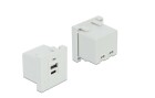 DeLock Easy 45 USB Ladeportmodul 1 x USB Typ-A