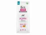 Brit Trockenfutter Care Puppy Grain Free Lachs, 12 kg