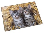 Läufer Schreibunterlage Katzen im Stroh 40 x 53 cm