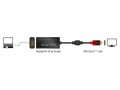 DeLock Adapter DisplayPort – USB Type-C 4K/60Hz, schwarz, Kabeltyp