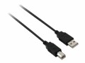 V7 Videoseven V7 - USB-Kabel - USB (M) zu USB Typ B (M) - 3 m - Schwarz