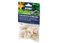 Hobby Aquaristik Dekoration Sea Shells Set, M, 10 Stück, Einrichtung