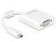 DeLock Monitorkonverter Micro-D-HDMI zu VGA+Audio,