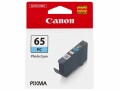 Canon Tinte CLI-65PC / 4215C001 Photo Cyan, Druckleistung