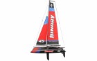 Amewi Katamaran BINARY Segelboot 40 cm, 2.4 GHz, RTR