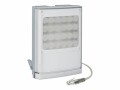 RayTec Weisslicht Strahler VAR2-POE-W8-1, Lichtart: Weisslicht