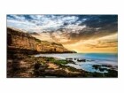 Samsung Public Display QE55T 55", Bildschirmdiagonale: 55 "