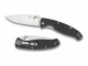 Spyderco Taschenmesser Resilience C142GP, Typ: Taschenmesser