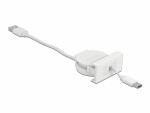 DeLock Easy 45 Modul USB 2.0 Ausrollkabel