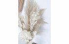 Soli Collection Trockenblumen All White 65 cm, Weiss, Produkttyp