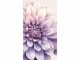 Simplex Wochenagenda Ladytimer 2025, Detailfarbe: Violett, Motiv