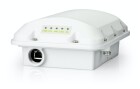 Ruckus Outdoor Access Point T350c unleashed, Access Point